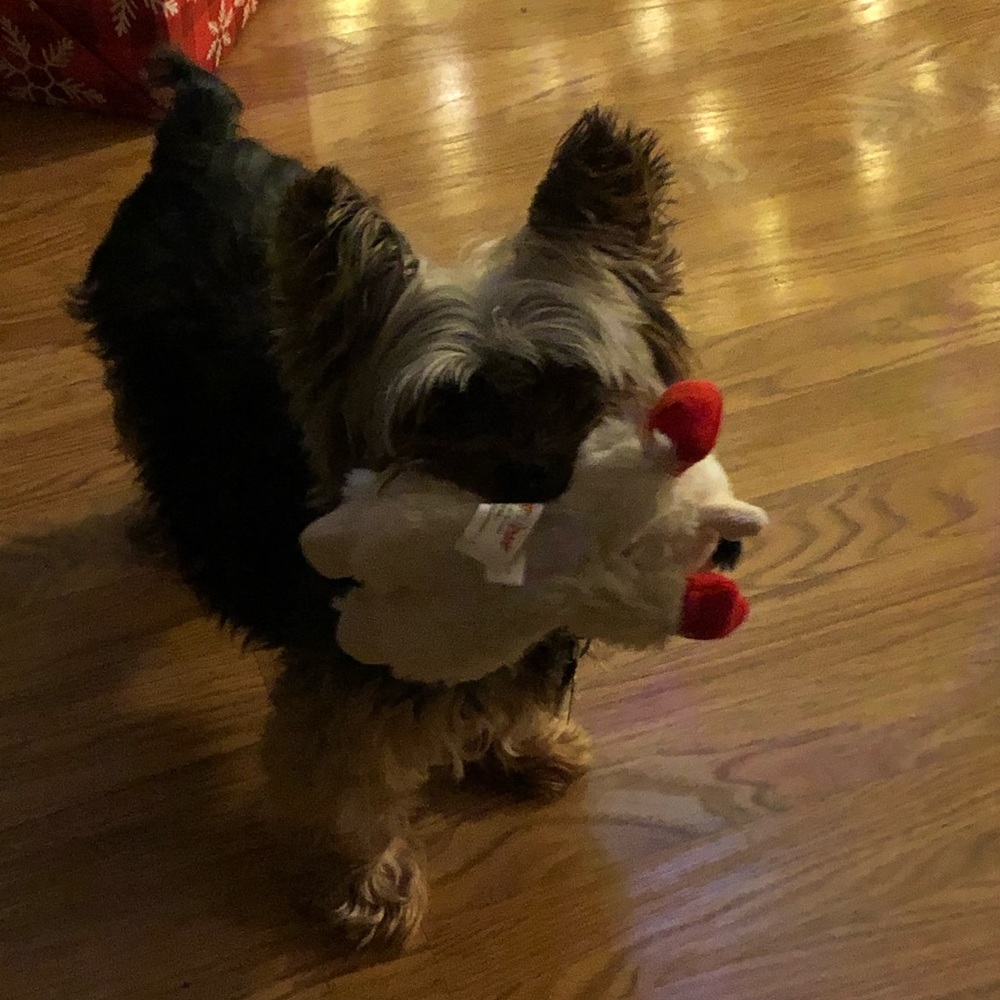 Meet your Posher, Vanessa